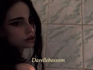 Darellebossom