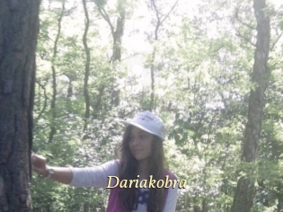 Dariakobra