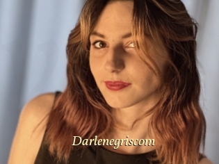Darlenegriscom