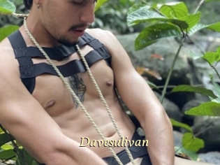 Davesulivan