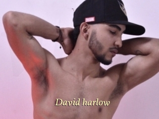 David_harlow