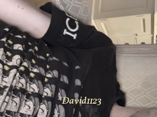 David1123