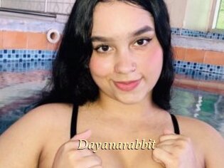 Dayanarabbit