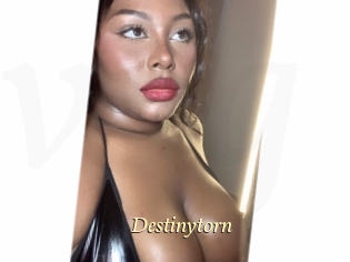 destinytorn Vidéo porno gratuite
