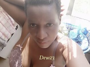 Dew23