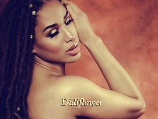 Didiflower