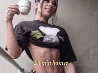 Domin_hamss