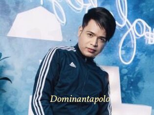 Dominantapolo
