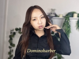 Dominoharber
