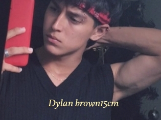 Dylan_brown15cm