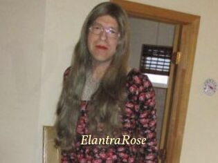 Elantra_Rose