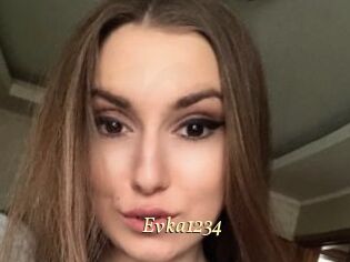 Evka1234