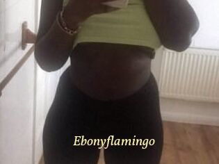 Ebony_flamingo
