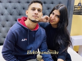 Elektraandmike