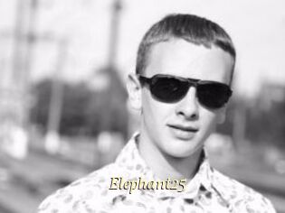Elephant25
