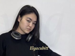 Elgacubitt