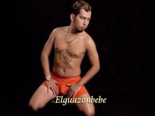 Elguazonbebe
