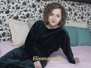Elinmagnetic