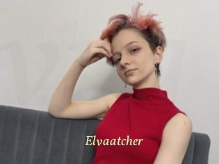 Elvaatcher