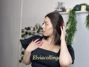 Elviacollinge