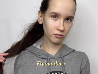 Elvinaabner