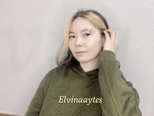 Elvinaaytes