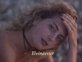 Elvinaesser