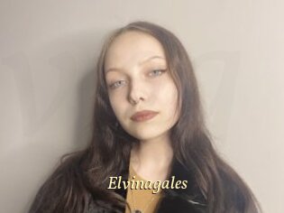 Elvinagales