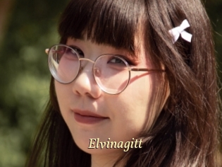 Elvinagitt