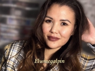 Elwinegalpin