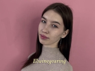Elwinegearing
