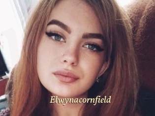 Elwynacornfield