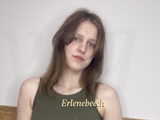 Erlenebeech