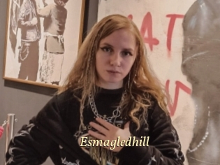 Esmagledhill