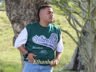 Ethanharrison