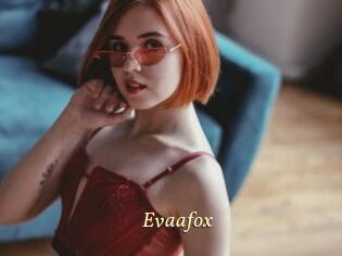 Evaafox