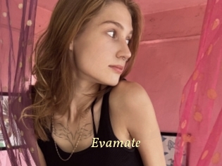 Evamate