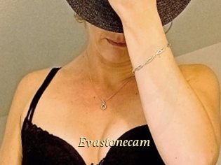 Evastonecam