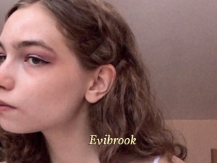 Evibrook