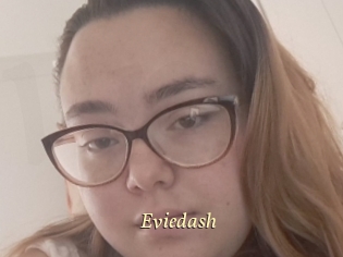 Eviedash