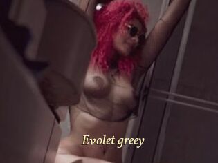 Evolet_greey