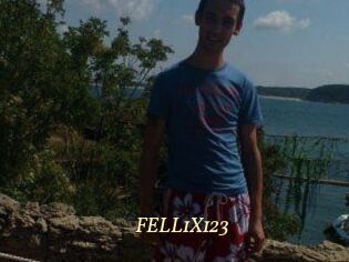 FELL1X123