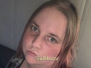 Falbkatze
