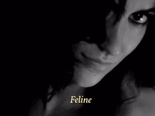 Feline Vidéo porno gratuite