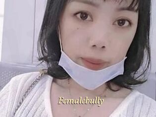 Femalebully