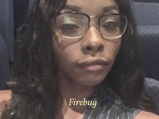 Firebug
