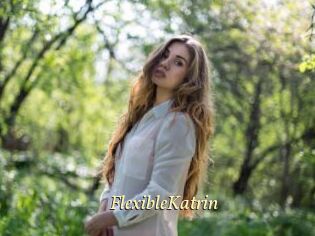 FlexibleKatrin