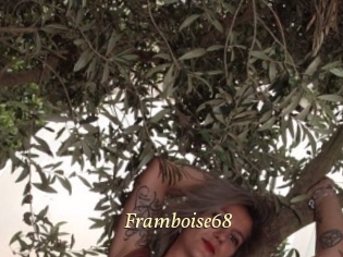 Framboise68