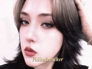 Falinebrucker