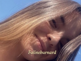 Falineburnard